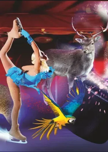 Афиша: Цирк на льду в Череповце 31 июля 2026