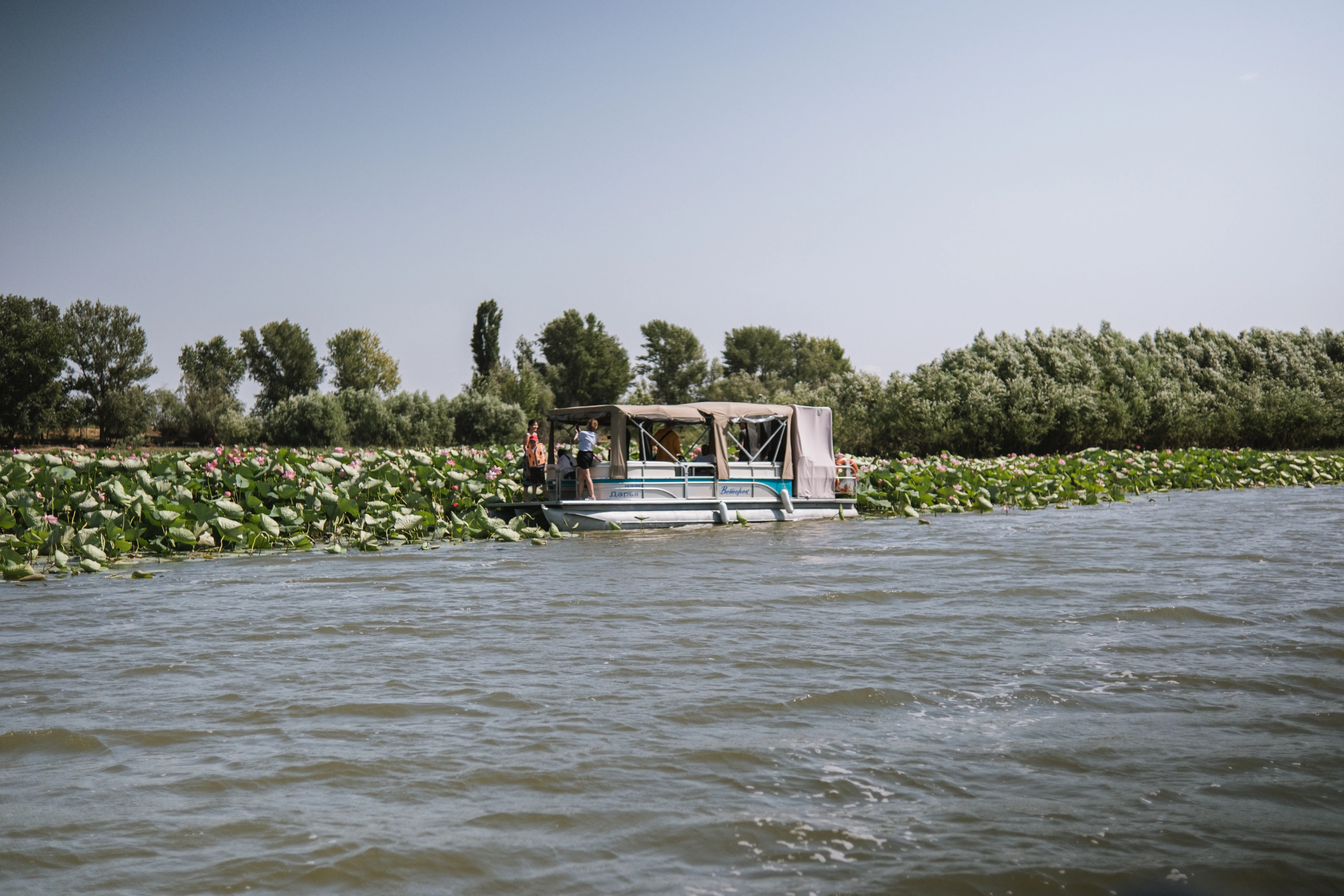 Афиша: Тур на лотосовые поля в Астрахани 18 июля 2026