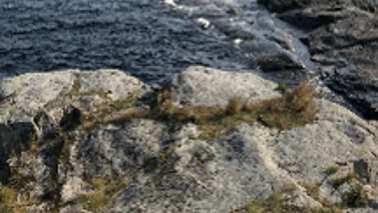 Афиша: Удивительная Карелия: водопады, хаски, олени, водная прогулка по Ладожским шхерам на ладье, посещение рыбной фермы. в Казанской пл.е 9 июля 2026