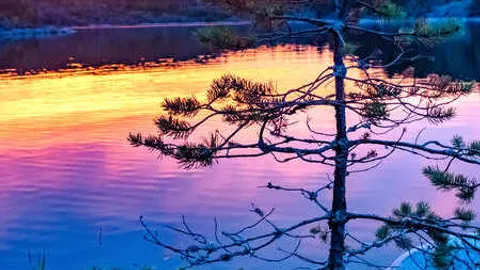 Афиша: Выборг, Терийоки, линия Маннергейма и парк Монрепо в мини-группе в Санкт-Петербурге 25 июля 2026