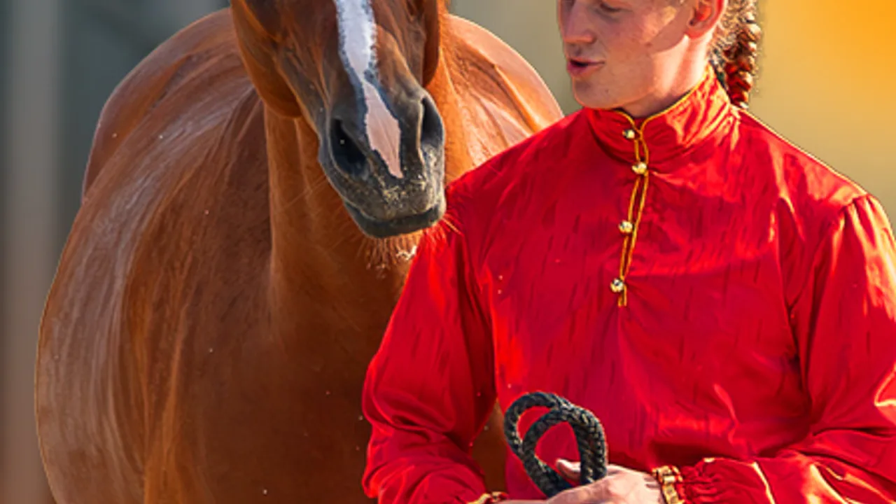 Афиша: Экскурсия «Россия Златогривая» в рабочую конюшню в Москве 14 июня 2026