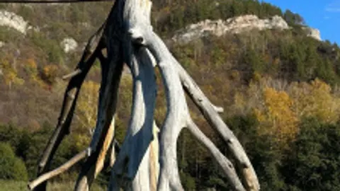 Афиша: Гумеровское ущелье и гора Бужа-тау в Уфе 13 июня 2026