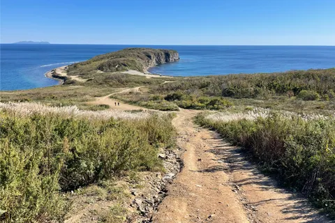 Афиша: Тайны острова Русский за 5 часов во Владивостоке 24 июня 2026