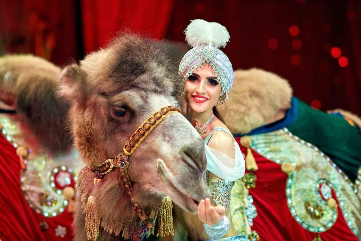 Афиша: Тропик-шоу в Брянске 12 июня 2026