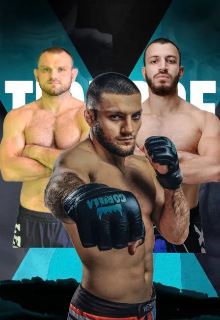 Афиша: Вечер боев Tiger Fighting Championship в Нижнем Новгороде 25 июня 2026