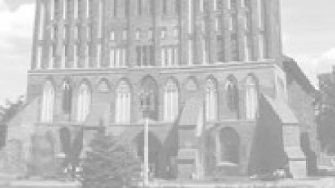 Афиша: Авторские исторические дегустационные сеты в кафе Солёная ворона в Калининграде 23 мая 2026