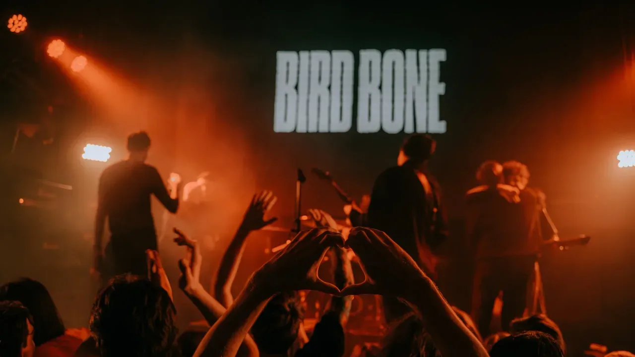 Афиша: Bird Bone в Ярославле 1 мая 2026