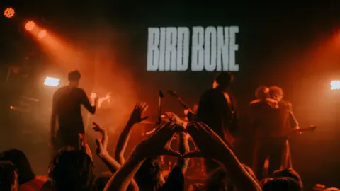 Афиша: Bird Bone в Ярославле 1 мая 2026