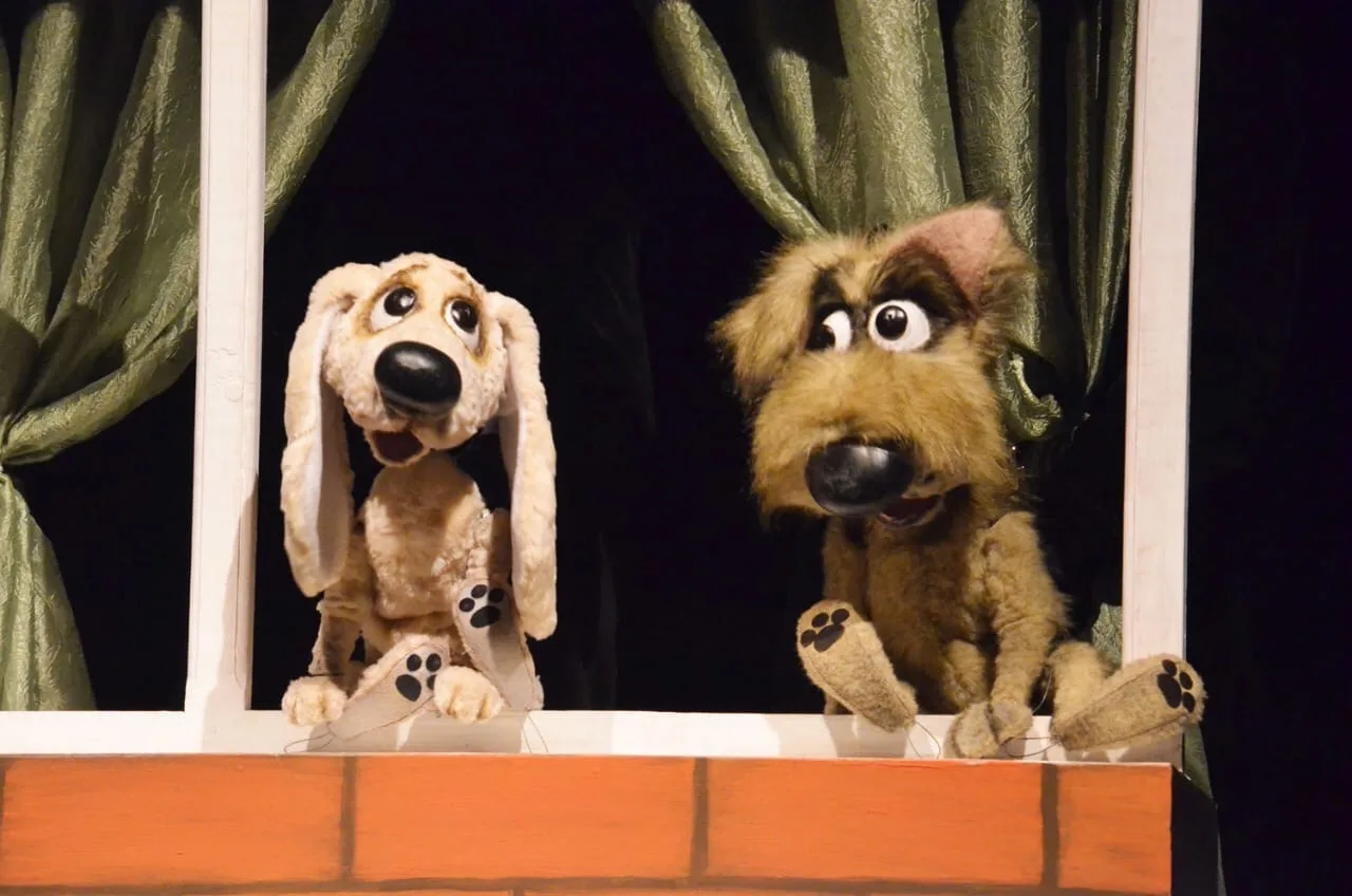 Афиша: Бобик в гостях у Барбоса в Барнауле 14 мая 2026