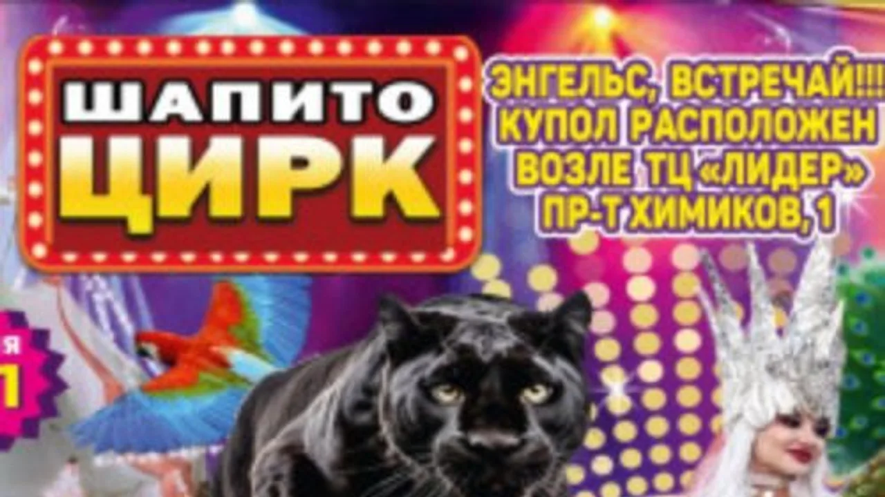 Афиша: Circusland в Саратове 22 мая 2026