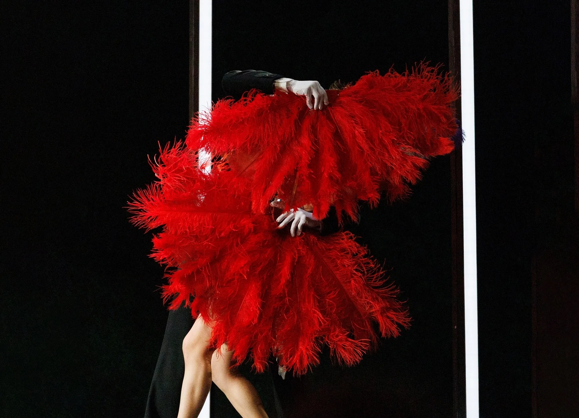 Афиша: Фиалка Монмартра в Петрозаводске 15 мая 2026