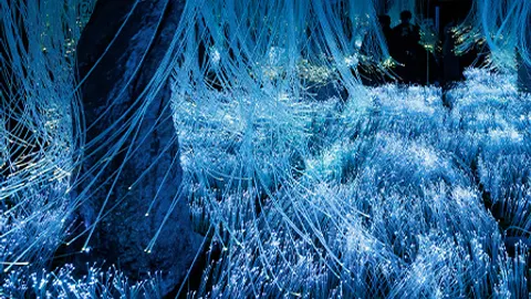 Афиша: Futurione Emotions в Санкт-Петербурге 27 мая 2026