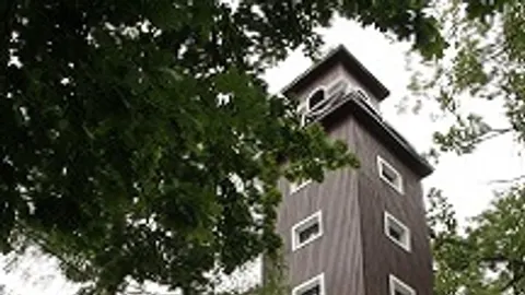 Афиша: Литературный музей в Чистых Прудах в Калининграде 29 мая 2026