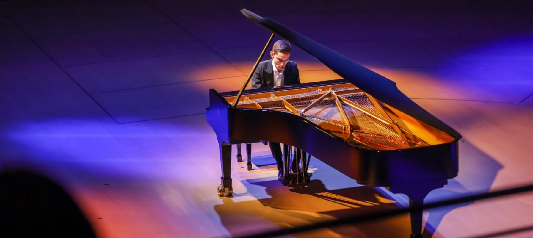 Афиша: МГАСО, дирижёр — Дмитрис Ботинис, Дмитрий Шишкин в Москве 13 мая 2026