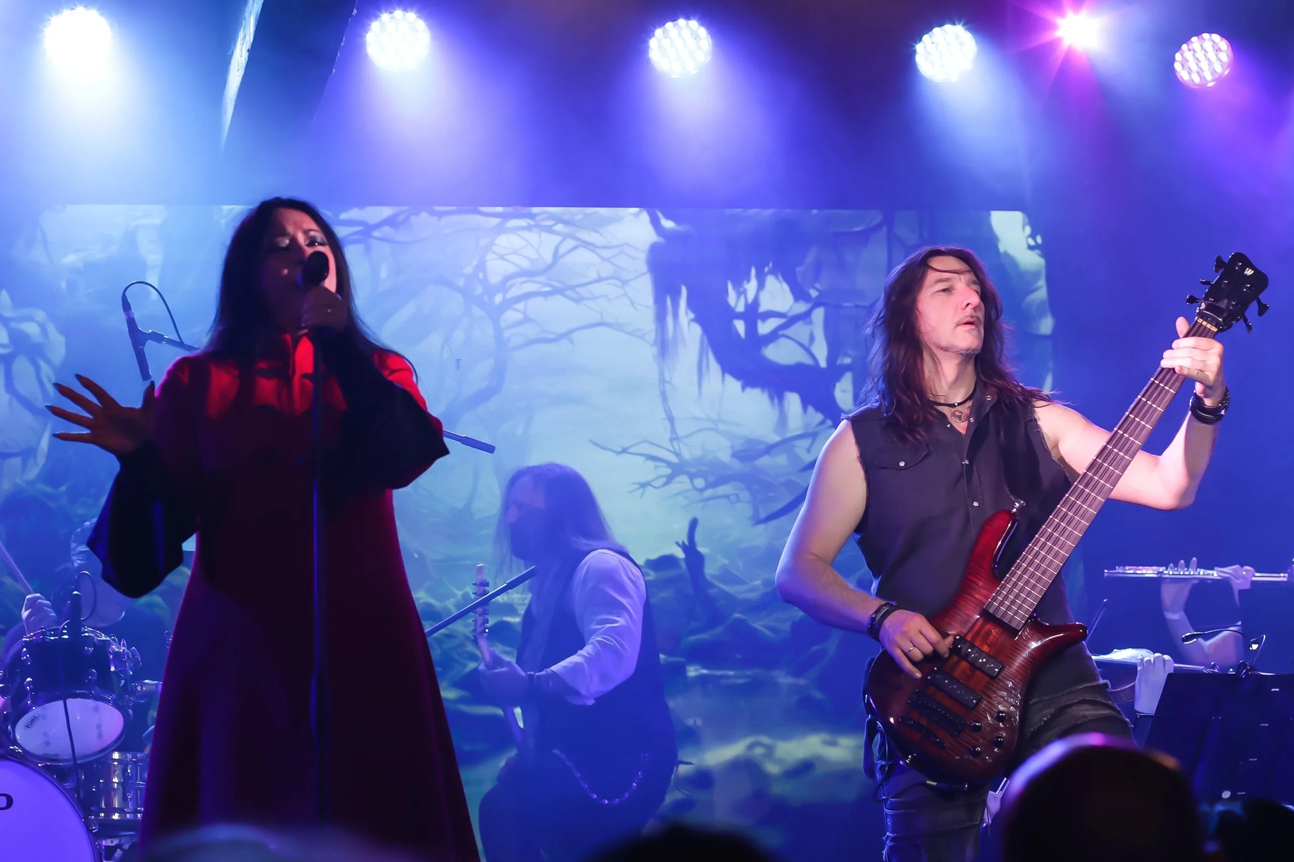 Афиша: Nightwish трибьют в Санкт-Петербурге 3 мая 2026