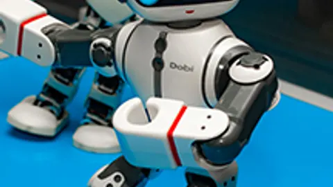 Афиша: Роботы в Сочи 29 мая 2026