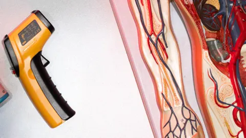 Афиша: Секреты теплокровных в Москве 31 мая 2026