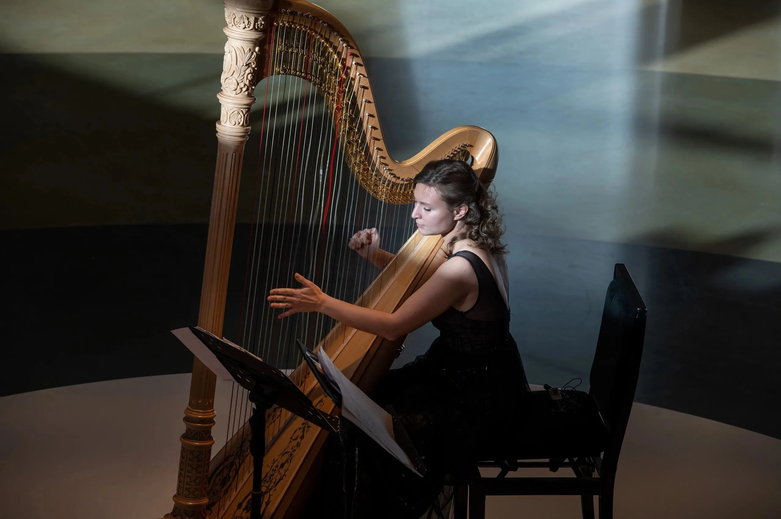 Афиша: В созвучии с арфой в Новосибирске 17 мая 2026