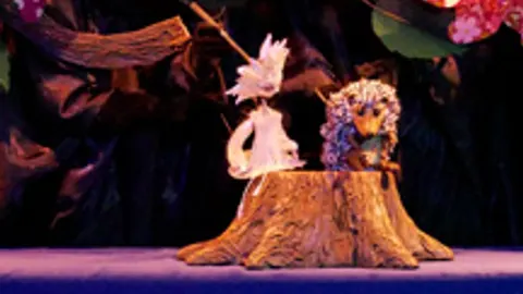 Афиша: Звездочка в Санкт-Петербурге 31 мая 2026