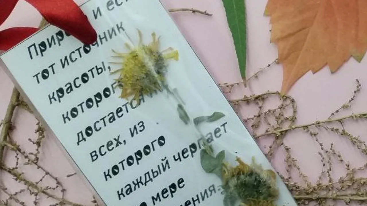 Афиша: Мастер-класс по изготовлению закладки-гербария: Остановись, мгновение в Волгограде 20 ноября 2026