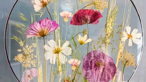 Афиша: Мастер-класс "пайка Картины Гербария под стеклом" в Санкт-Петербурге 12 ноября 2026