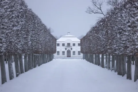 Афиша: Петергоф. Большой Императорский дворец в Санкт-Петербурге 16 октября 2026