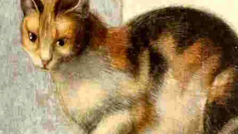 Афиша: «Эрмитажные коты» и другие секреты в детском квесте в Санкт-Петербурге 15 сентября 2026