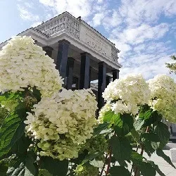 Афиша: Москва: современность и история в Москве 15 сентября 2026