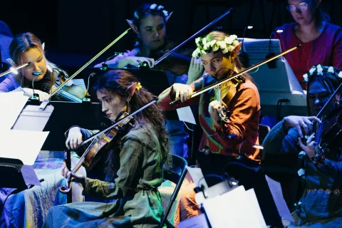 Афиша: Nella Musica Orchestra. СимфоМультимедия. Властелин колец в Ярославле 26 сентября 2026