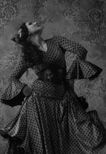Афиша: Новый танцевальный клубный проект Tablao Flamenсo в Москве 12 сентября 2026